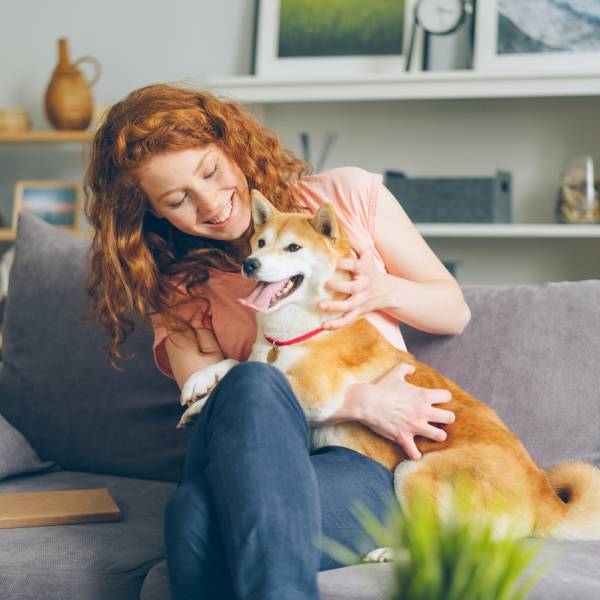 image of pet