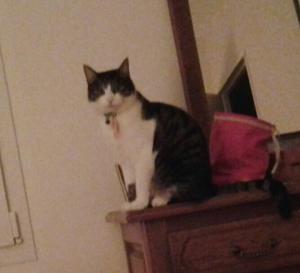 doudou