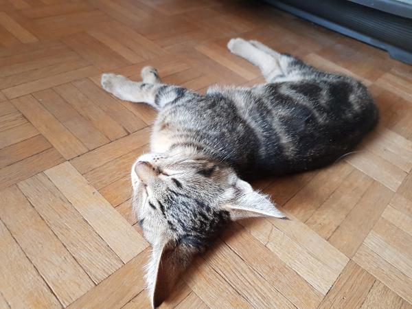 Lilou