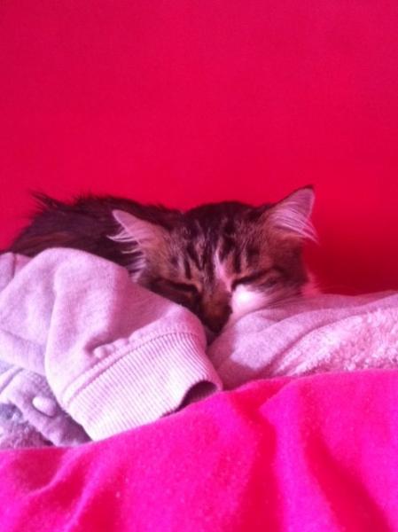 Shakespeare