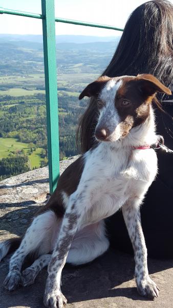 Mya