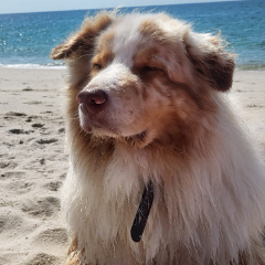 Nooky