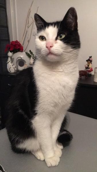 Diego