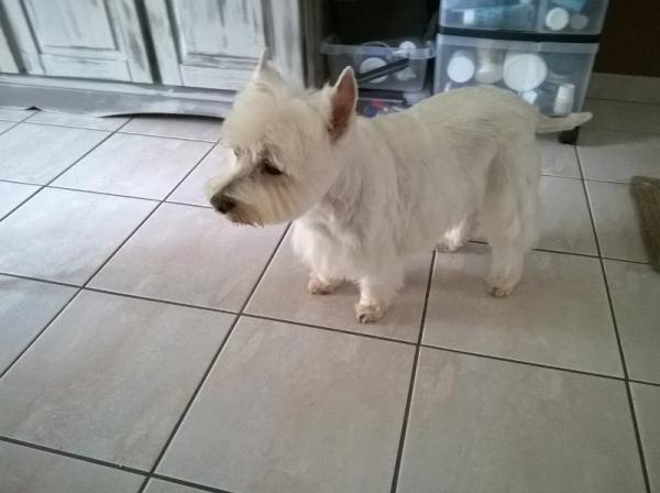 Photo de Cassy