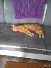 Ragnar