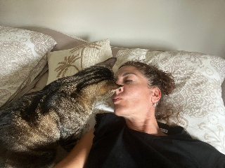 Câlin