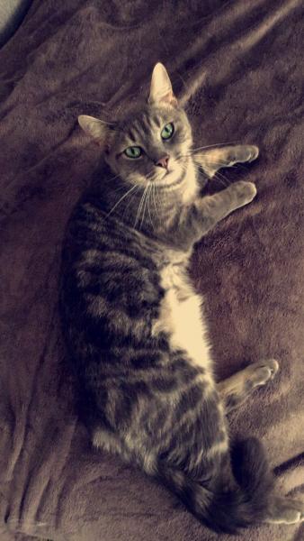 Maggie