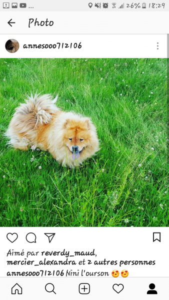 Nounours