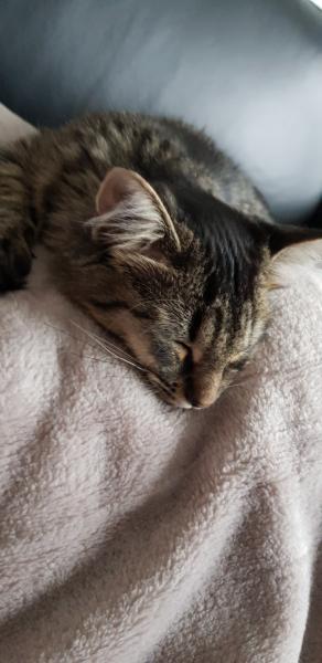 Photo de Oulady