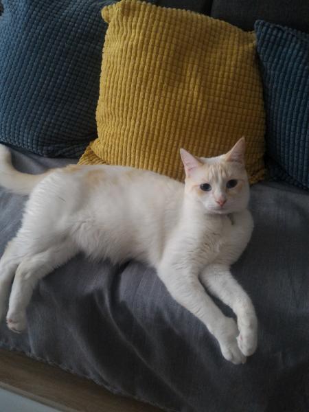 Pouchka
