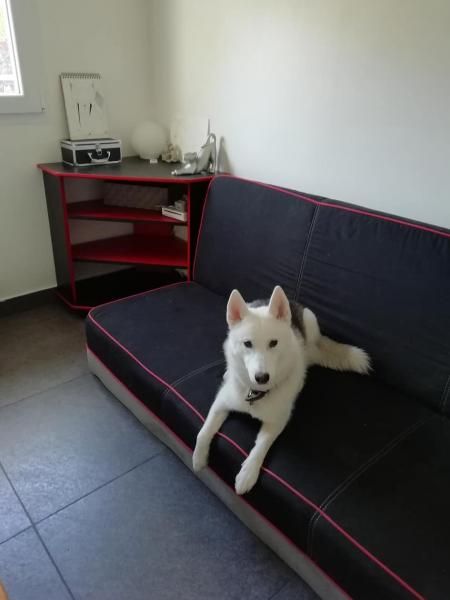 Okami