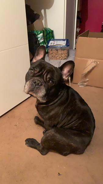 Zeus