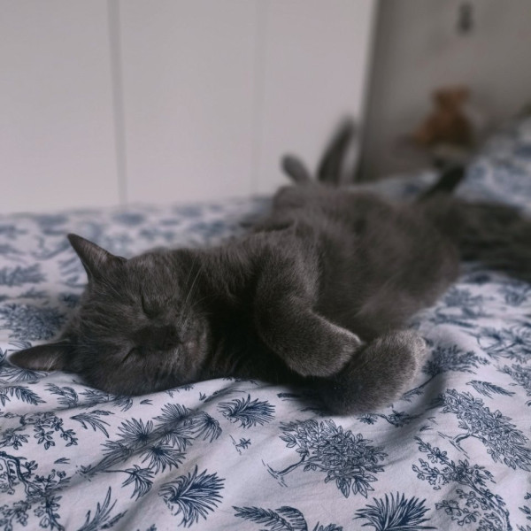 Moby