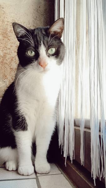 Kiki