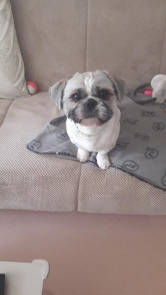 Junior