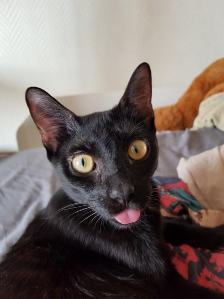 Kira