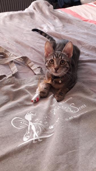 Mia