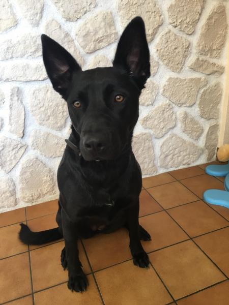 Kita