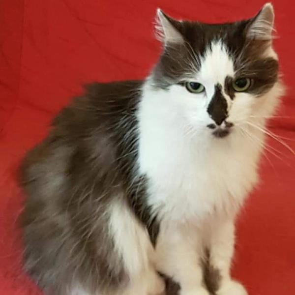 Suzie
