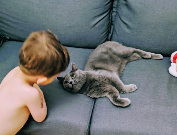 Photo de Piouma