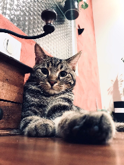 Photo de Marlow