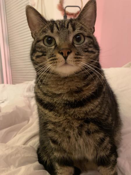 Photo de Oscar