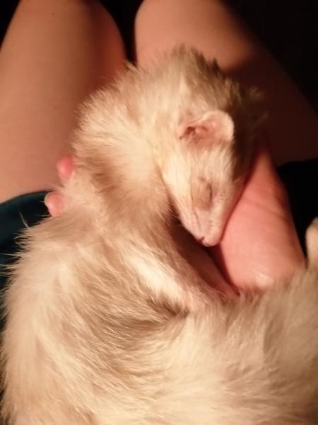 Kali