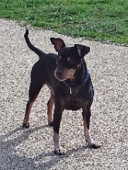 Kiki