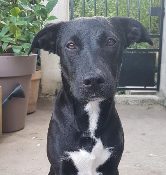 Mia