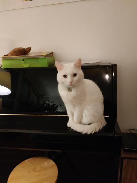 Berlioz