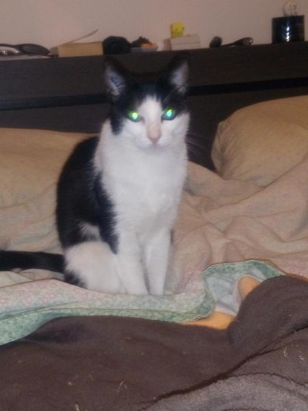 Photo de Chouinchouin