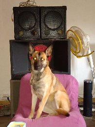 Punky