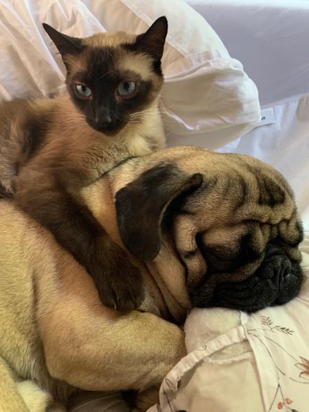 Naps