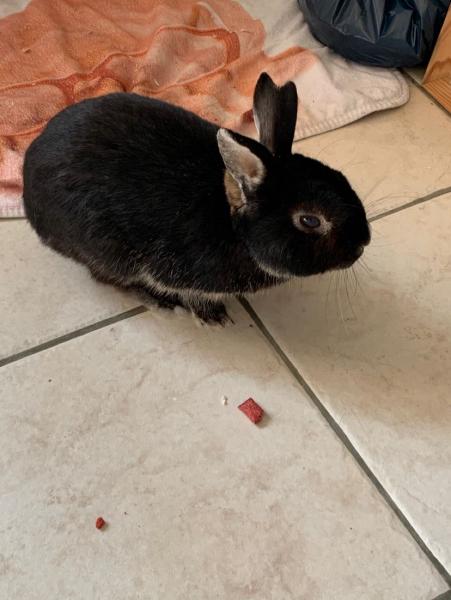Twix