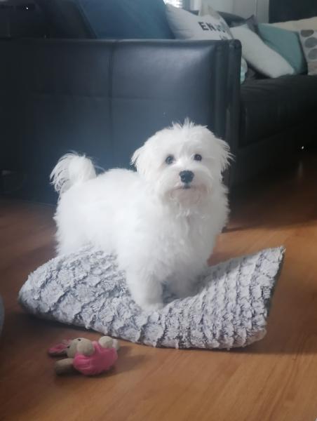 Photo de KAWAI