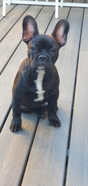 Photo de FLOKY