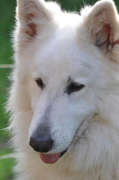 Jethro