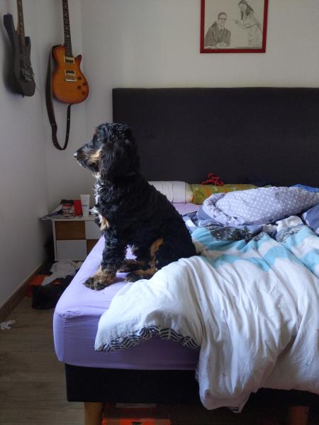 Photo de Sheriff