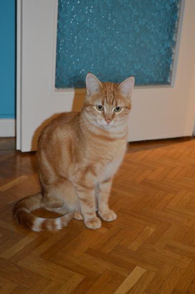 Hutch