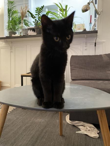 Photo de Rajah