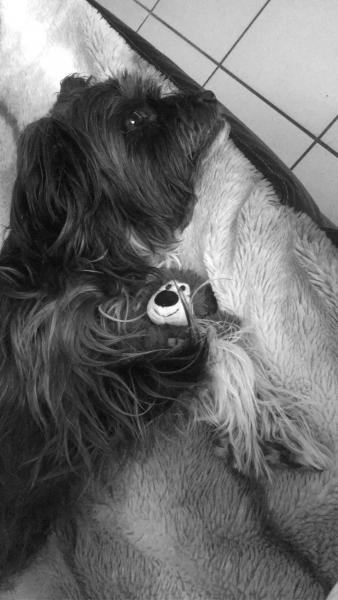 Bouba