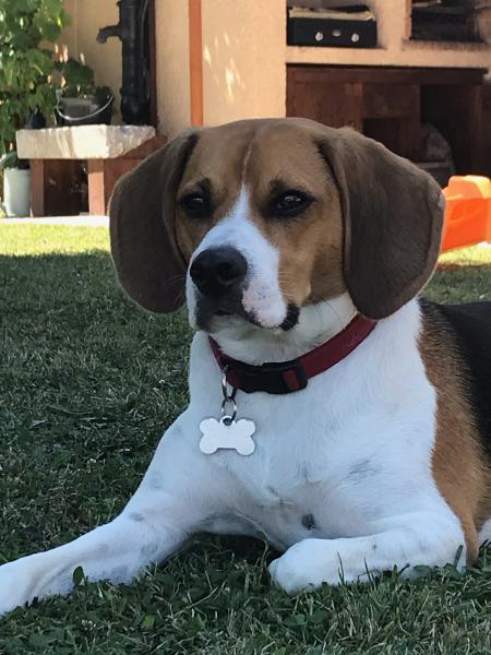 Photo de Olaf