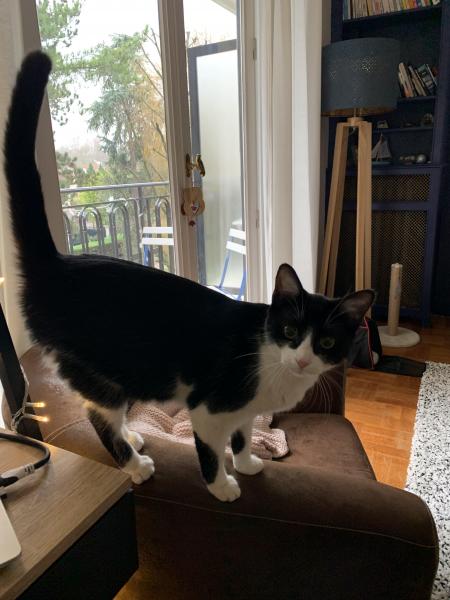 LILOU