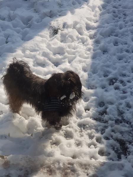 Photo de Molly