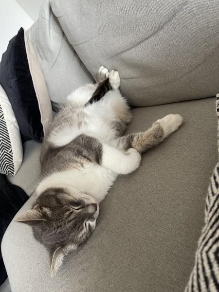 Mimi