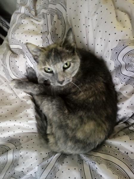 Photo de Mimi