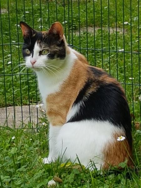 Photo de Lilou