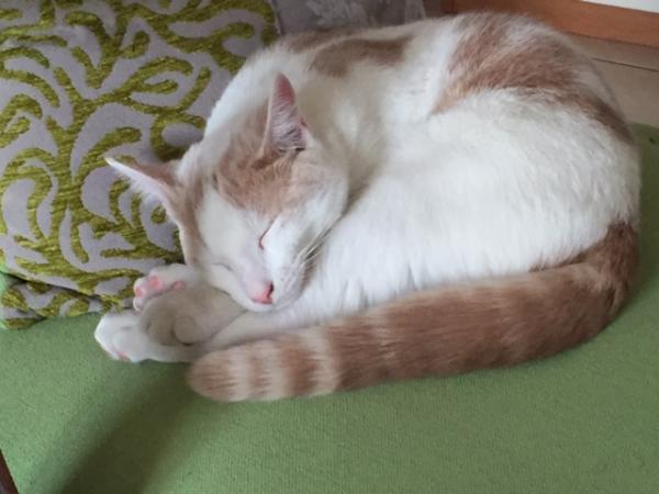 Photo de Séraphin