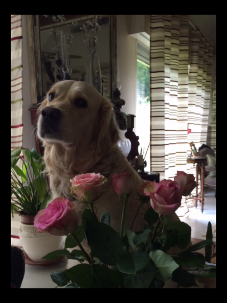 Photo de Holly