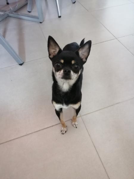Photo de Nala